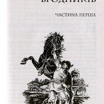 Сині Води : історичний роман