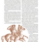 Еволюція українського вбрання. Сторінки історії