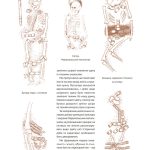 Еволюція українського вбрання. Сторінки історії